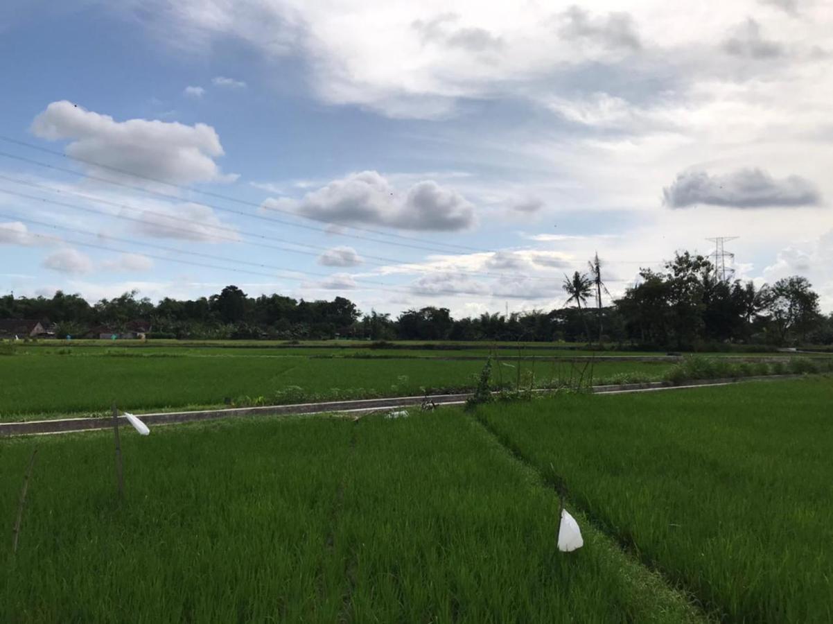Legiyem Homestay Yogyakarta Exteriér fotografie